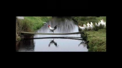 Смешни Картинки