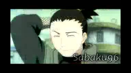 shikatema untoched 