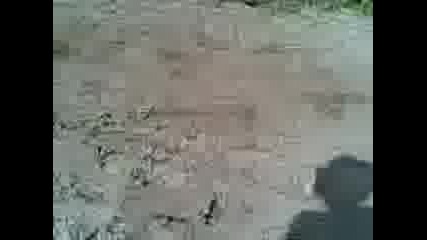 Sps Extreem