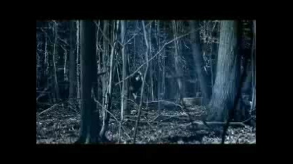 Bullet For My Valentine
