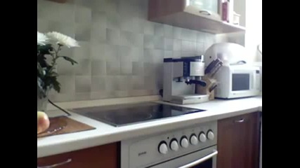 Котака Никифор разбира и говори