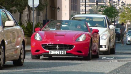 Cars of Dubai