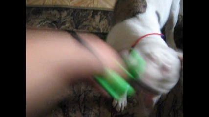 Zwercheto mii :*