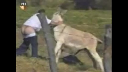 funny vid compilation 