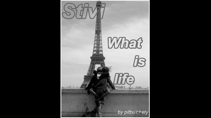 Stivi - What is life