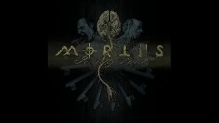 Mortiis - Halo of Arms 