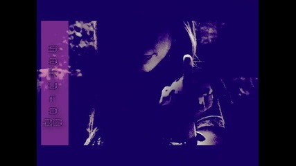 || Avril || 