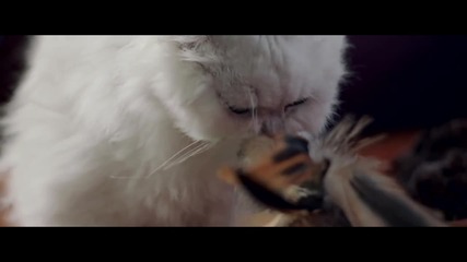 Katy Perry - Roar From A Meow To A Roar (single Preview)