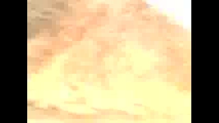 Mov0448a.3gp