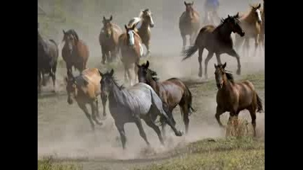 Enigma - Return To Innocence