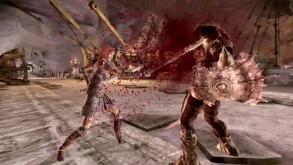 Dragon Age Origins - Character of Leliana