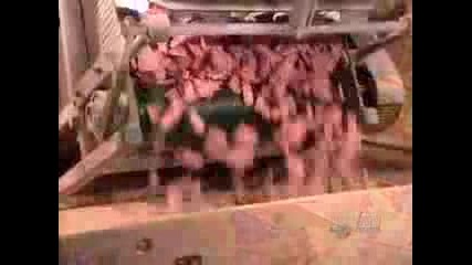 Как Се Правят Гумичките!
