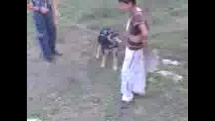 Dve Ku4eta Se Hapqt