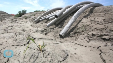 Current California Drought Will Cost Agirculture Sector Almost $2 Billion