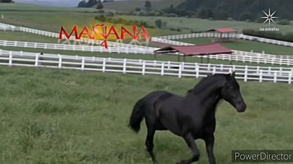 Manana es para siempre Cortinillas (10)