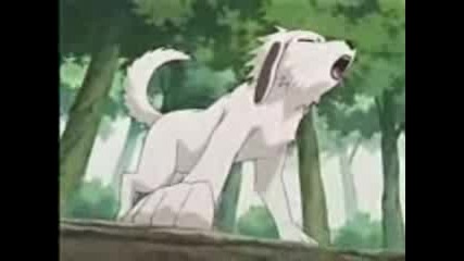 Akamaru ^^