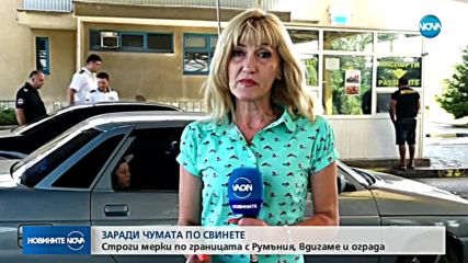 ЗАРАДИ ЧУМАТА ПО СВИНЕТЕ: Строги мерки на границата с Румъния