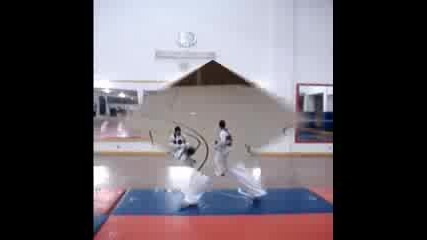 The Best Taekwondo Shows
