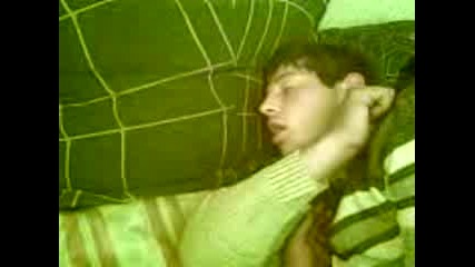 Bushona spi