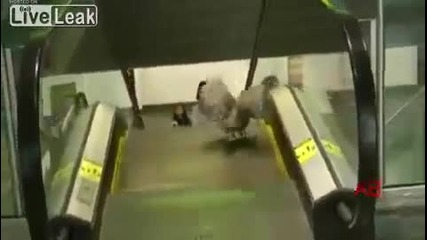 Птицата се обърка!!!смях!!!