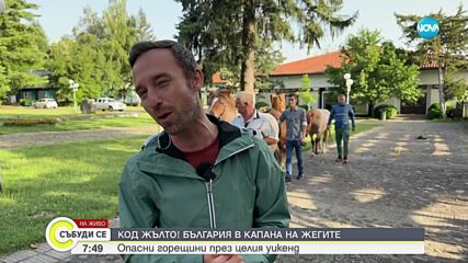В капана на жегите: Опасни горещини през уикенда