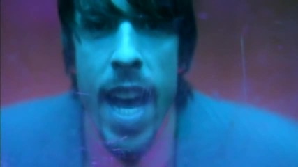Foo Fighters - Walking After You