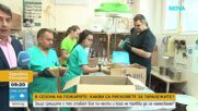 Спасиха десетки бебета таралежи в Стара Загора
