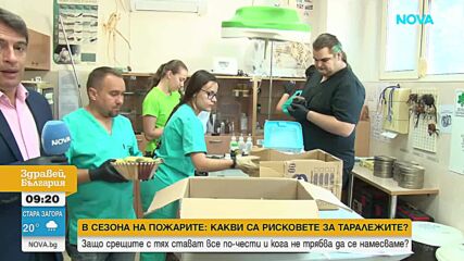 Спасиха десетки бебета таралежи в Стара Загора