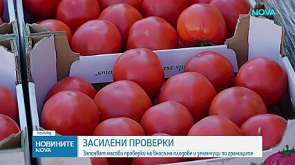 Започват масови проверки на вноса на плодове и зеленчуци
