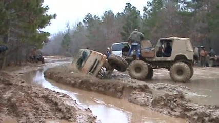 muddi gras 2010 gator run park