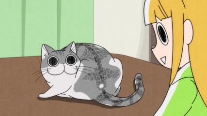【 Bg Sub 】 Yoru wa Neko to Issho 11