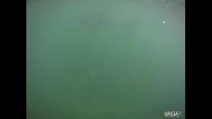Сърфист снима голяма акула докато тя си плува спокойно 