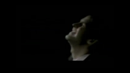 Lloyd Cole Amp The Commotions