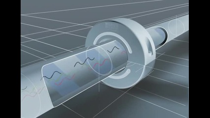 Merusring The product Merus