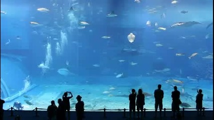 Втория най - голям аквариум в света