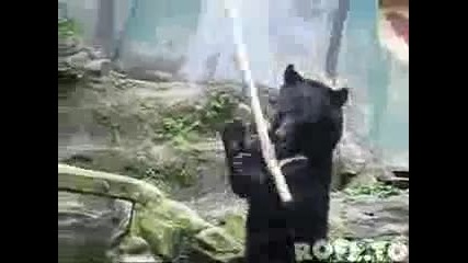 Кунг Фу Мечка 