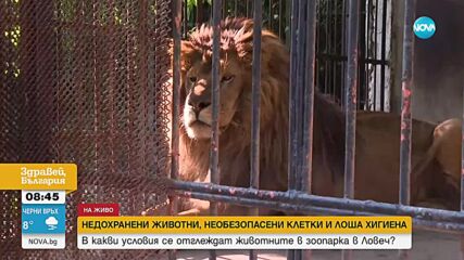 Има ли недохранени животни и необезопасени клетки в зоопарка в Ловеч