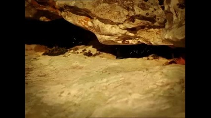 Minuscule 2.14 - Дъжд и охлюви 