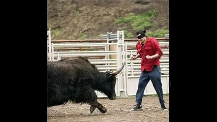 3 мин смях до скъсване с jackass 