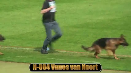 2010 Sv Bszs Nkgr Vanos van Noort 