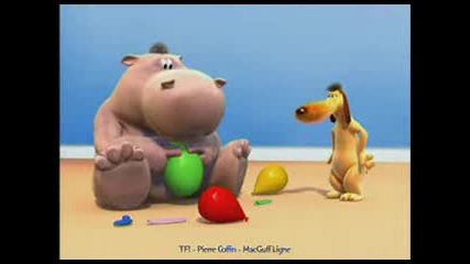 Hippo and dog 