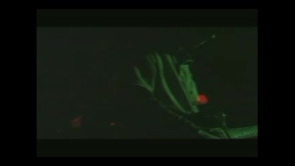 The Stone Roses Live In Blackpool - I Wanna Be Adored