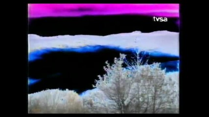 Vesna Zmijanac - Sto zivota