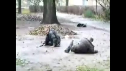 Гомели Пияници Смях 