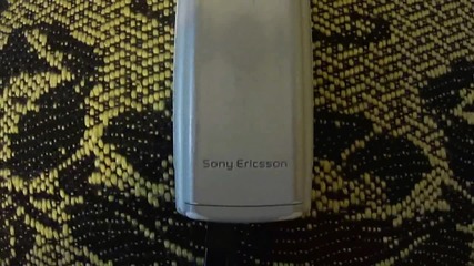 Sony Ericsson T 100 