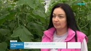 Скок на цените на зеленчуците