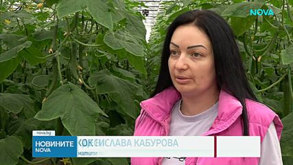Скок на цените на зеленчуците