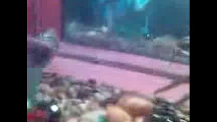 декоративни рибки