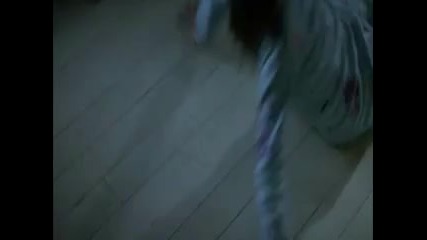 The Red Jumpsuit Apparatu - Face Down