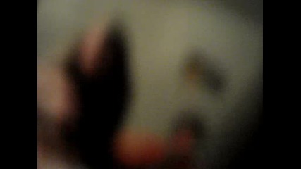 Mov00653